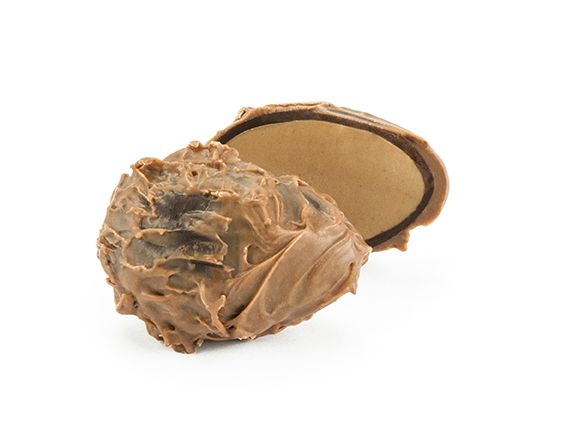 Walnuss-Nougat Trüffel-Ei